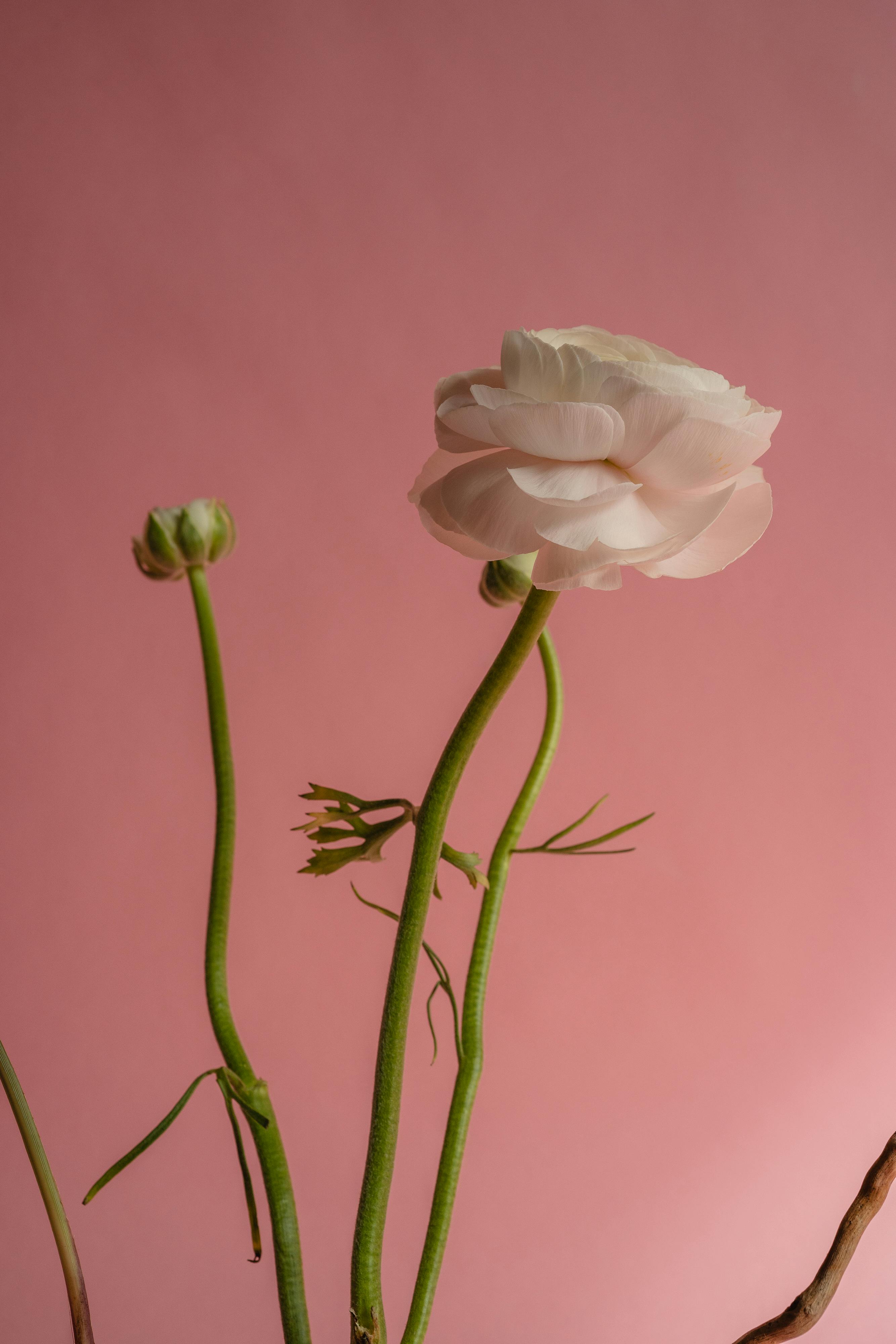 Fine Art Photographer | Lucas